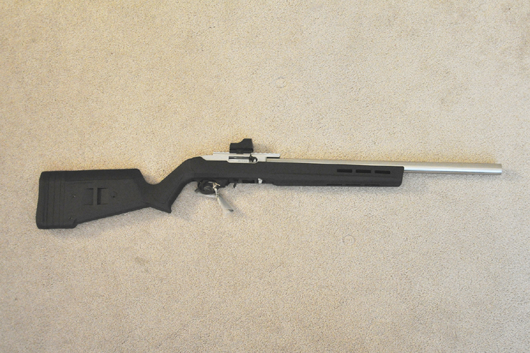 Ruger 10